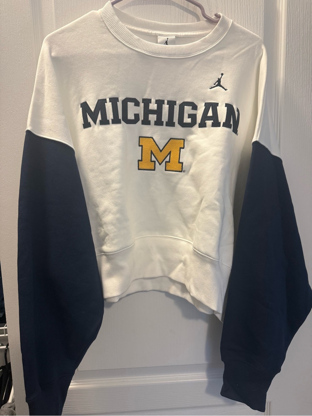 Michigan Crop Oversized Fit Crewneck Sweatshirt